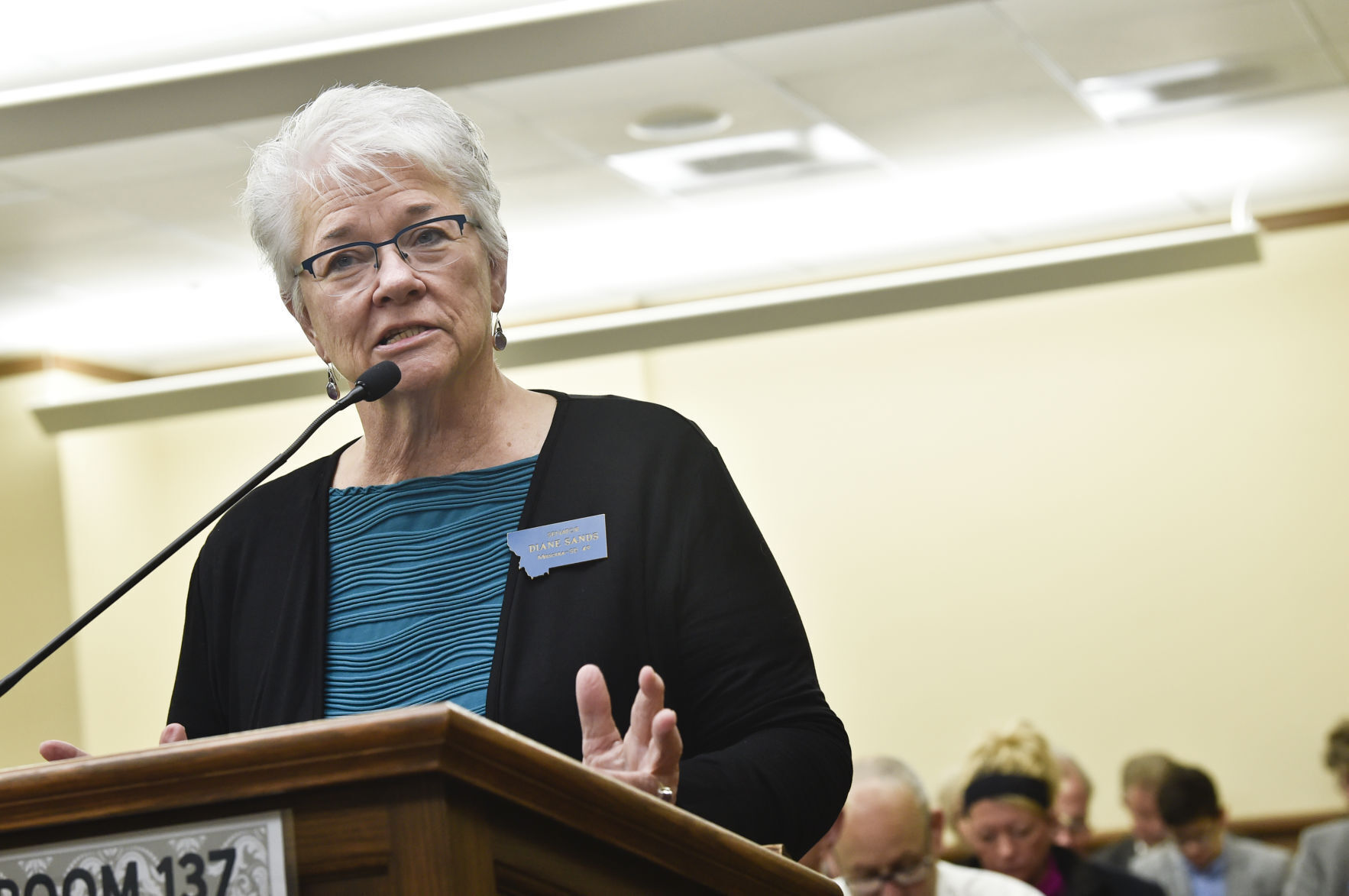 Sen. Diane Sands, D-Missoula